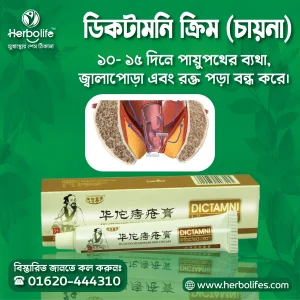 চায়না ডিকটামনি ক্রিম | পাইলস এর কার্যকরী মলম বা ক্রিম।-৩ পিস