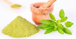 Organic Stevia Powder 100g